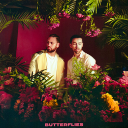 Butterflies Lyrics By MAX & Ali Gatie