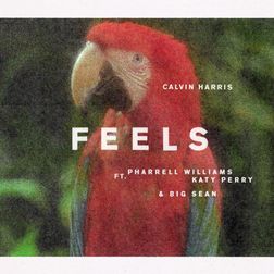 Feels Lyrics By Calvin Harris