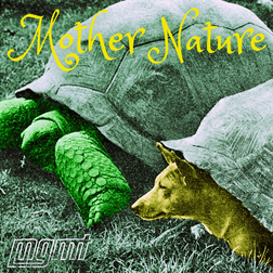 Mother Nature Lyrics By MGMT