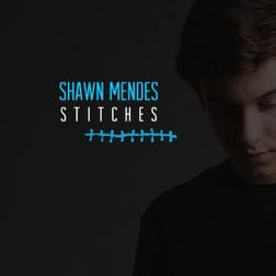 Stitches Lyrics By Shawn Mendes